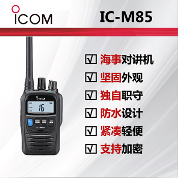 icomĽdeepɫ
IC-M85